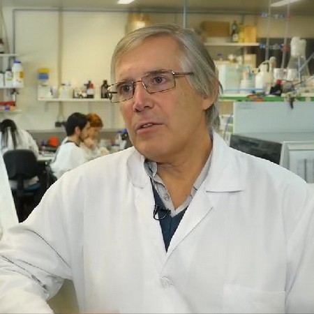 José Teixeira